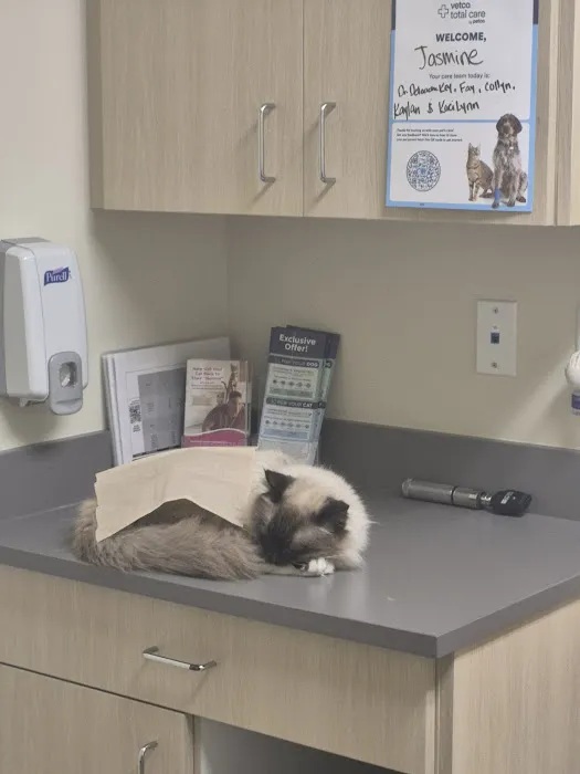 Vetco Total Care Animal Hospital Picture 4