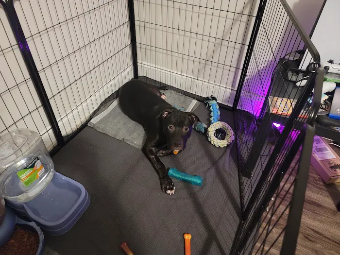 Vetco Total Care Animal Hospital Picture 2