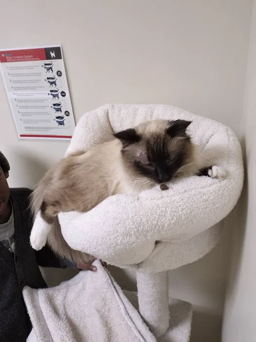 Vetco Total Care Animal Hospital Picture 1