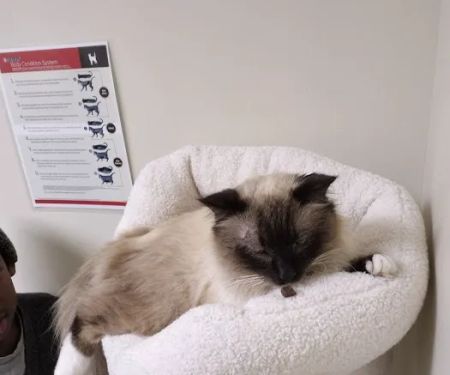 Vetco Total Care Animal Hospital
