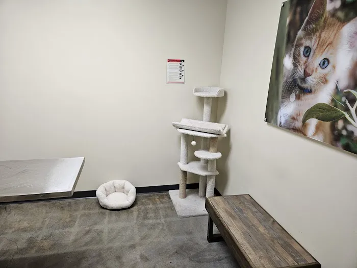 Vetco Total Care Animal Hospital Picture 9