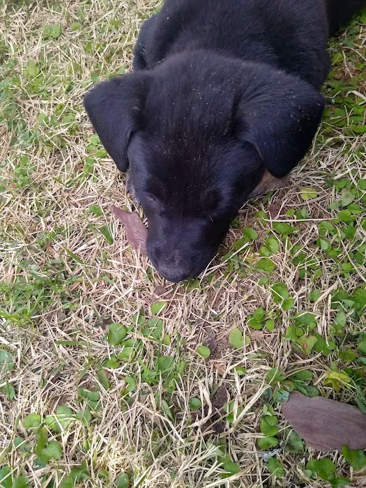 Martinez Animal Hospital Picture 5