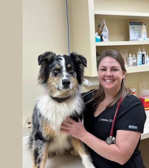 Blanchard Woods Animal Hospital, 864 Blanchard Road, Evans, GA 30809 Picture 2