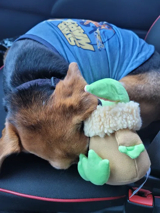 Banfield Pet Hospital Picture 1