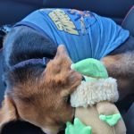 Banfield Pet Hospital