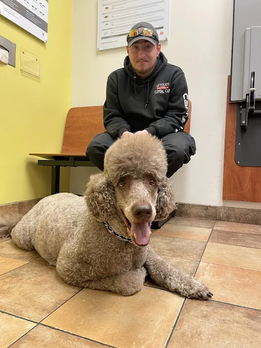 Banfield Pet Hospital Picture 9
