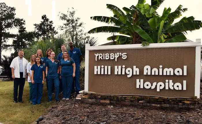 Tribby’s Hill High Animal Hospital Picture 1