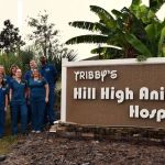 Tribby’s Hill High Animal Hospital