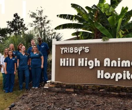 Tribby’s Hill High Animal Hospital