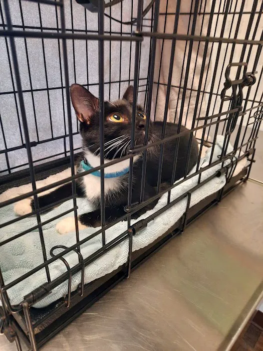 Tribby’s Hill High Animal Hospital Picture 2