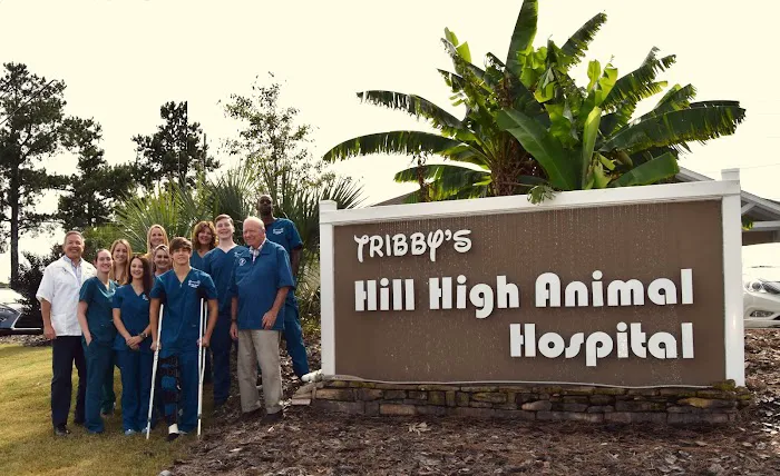 Tribby’s Hill High Animal Hospital Picture 7