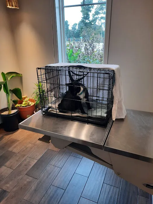 Tribby’s Hill High Animal Hospital Picture 5