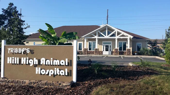 Tribby’s Hill High Animal Hospital Picture 10