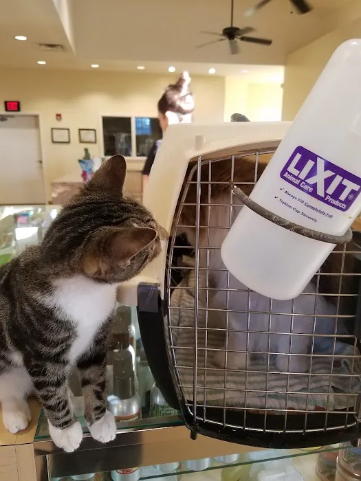 St Francis Animal Hospital Picture 2
