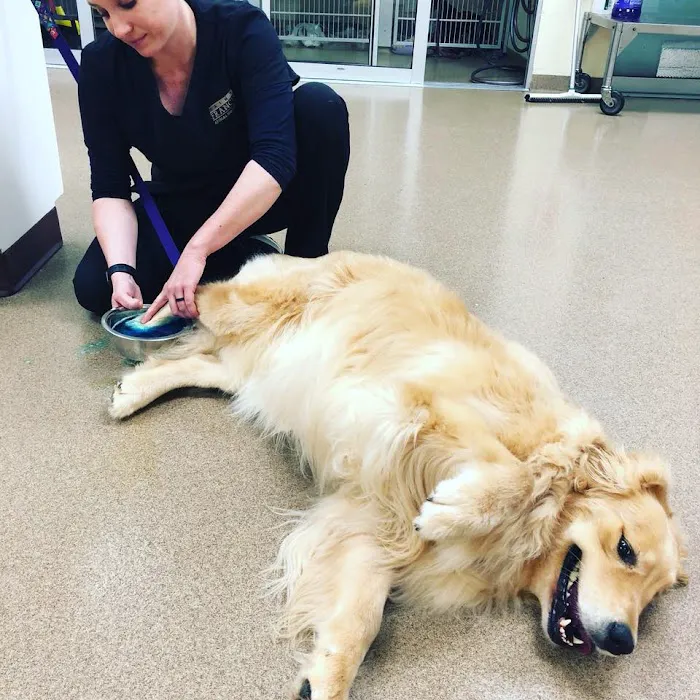 St Francis Animal Hospital Picture 7