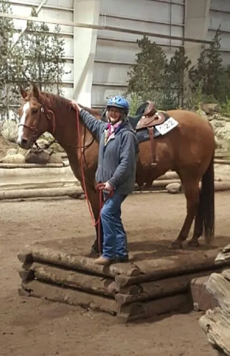 Performance Equine Vets Picture 3