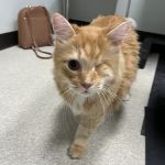 Your Friends At Dacula Animal Hospital