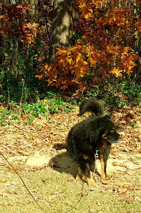 Dacula Animal Hospital Picture 5