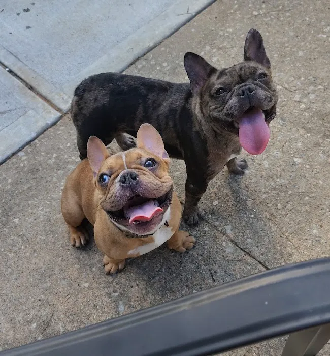 Dacula Animal Hospital Picture 1