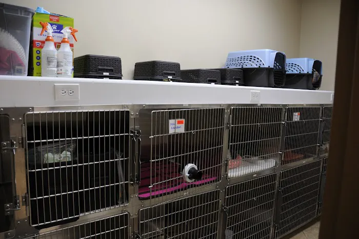 Apalachee Ridge Animal Hospital Picture 7