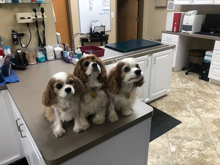 Apalachee Ridge Animal Hospital Picture 8