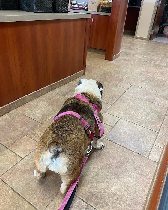 Apalachee River Animal Hospital Picture 2
