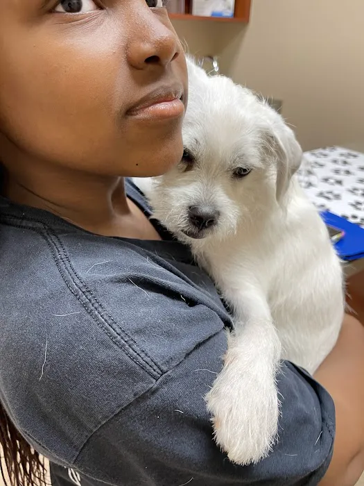 Apalachee River Animal Hospital Picture 6