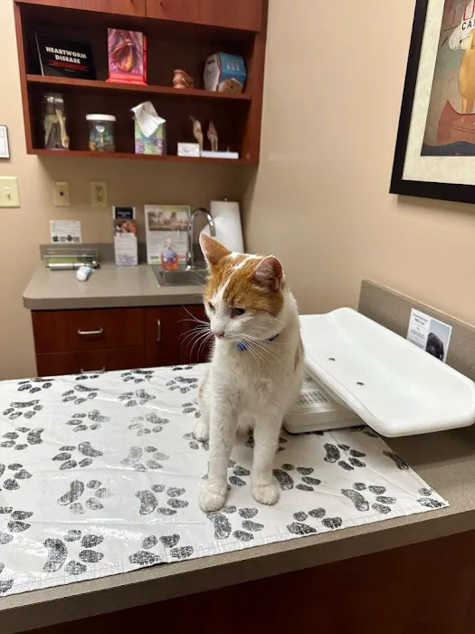 Apalachee River Animal Hospital Picture 7
