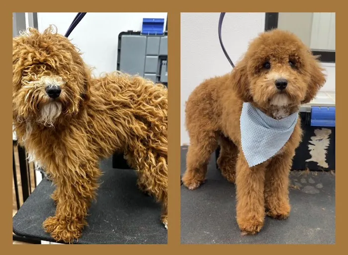 Hamilton Plaza Animal Hospital Picture 10