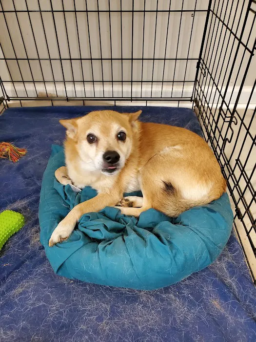 Banfield Pet Hospital Picture 5