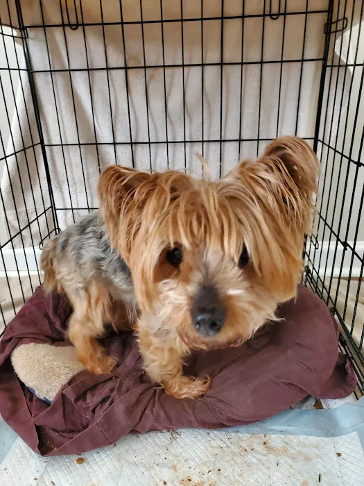 Banfield Pet Hospital Picture 4