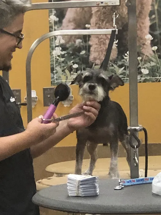 Banfield Pet Hospital Picture 8