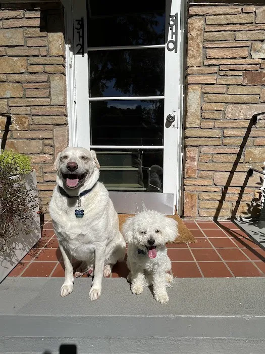 The Veterinary Clinic Picture 9