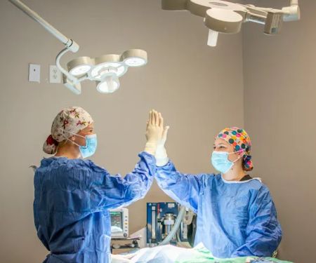 Good Dog Veterinary Care East Cobb