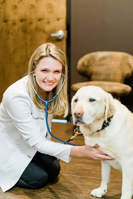 Good Dog Veterinary Care East Cobb Picture 9