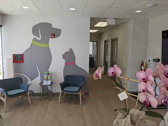 Dogwood Veterinary Specialty & Emergency Picture 8