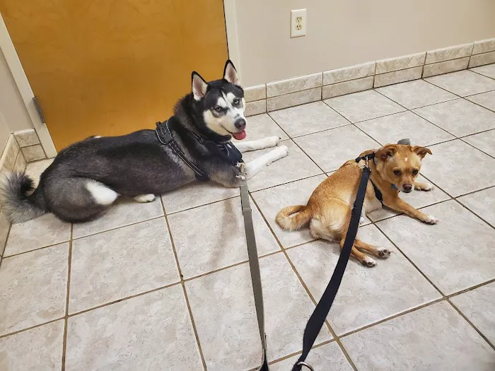 VCA Terrell Mill Animal Hospital Picture 2