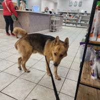 VCA Terrell Mill Animal Hospital ico
