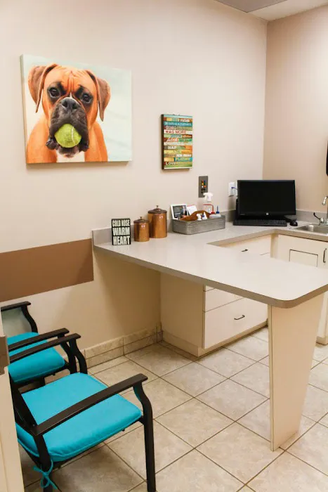 VCA Terrell Mill Animal Hospital Picture 3