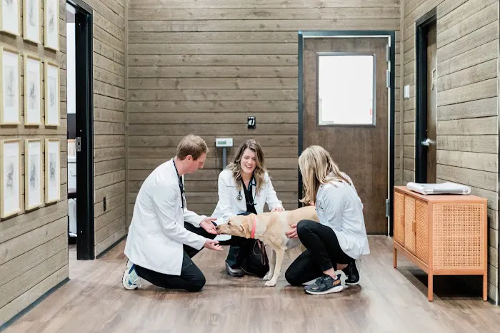 Good Dog Veterinary Care West Cobb Picture 10