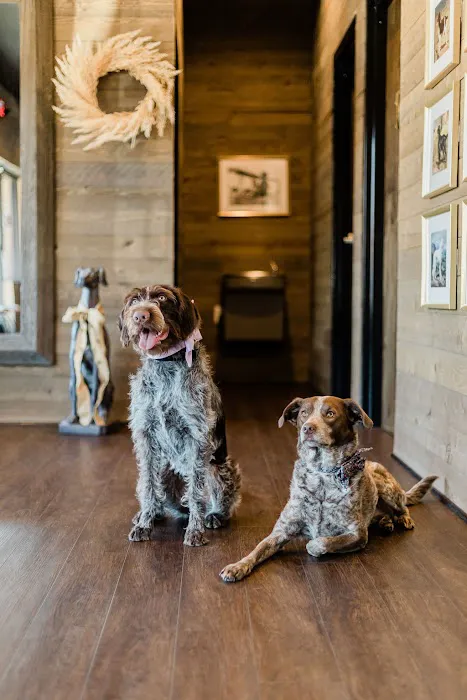 Good Dog Veterinary Care West Cobb Picture 9