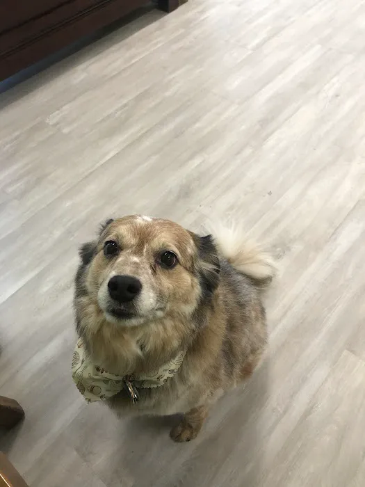 Due West Animal Hospital Picture 2