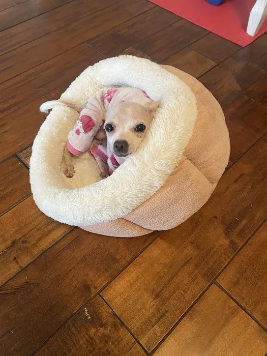Due West Animal Hospital Picture 5