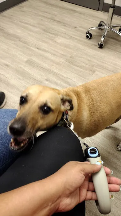 Due West Animal Hospital Picture 8
