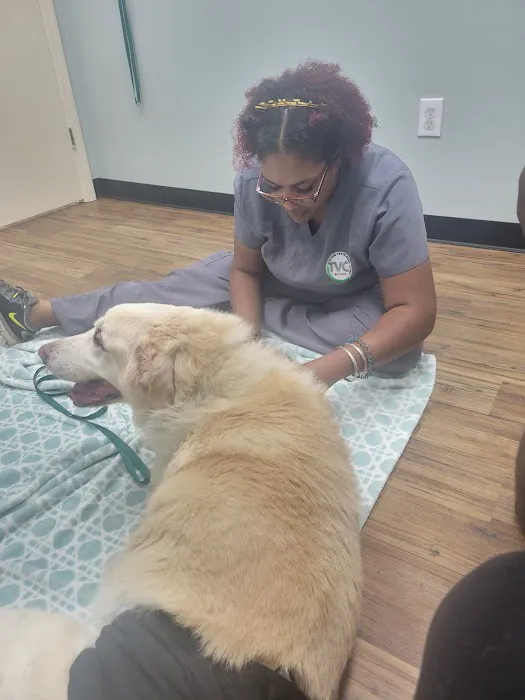 The Veterinary Clinic at The Avenues Picture 10