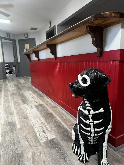 Mills Animal Hospital Marietta Picture 1