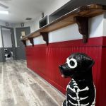 Mills Animal Hospital Marietta