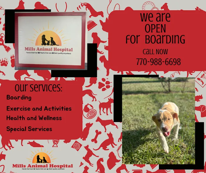 Mills Animal Hospital Marietta Picture 10