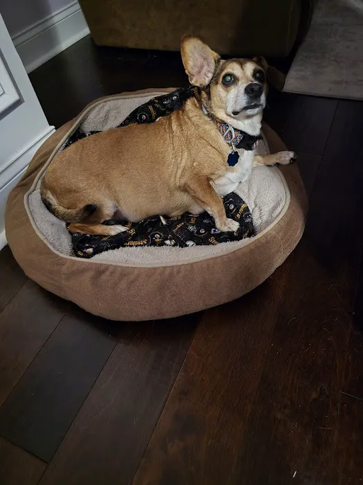 Butler Creek Animal Hospital Picture 3