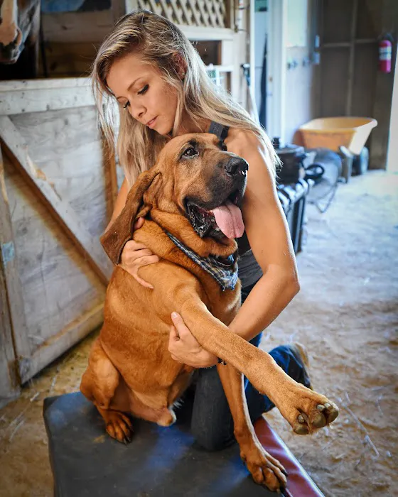 Butler Creek Animal Hospital Picture 2